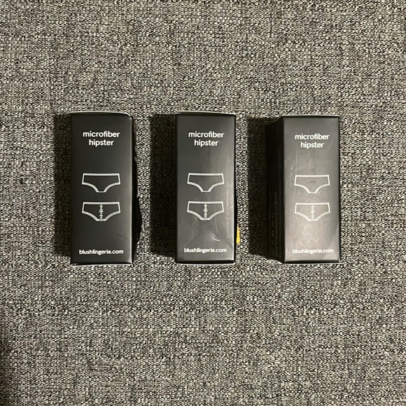 NWT Blush Lingerie Micro Hipster Shorty, Set of 3 - Picture 3 of 4